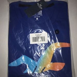 Hollister men t shirt Logo graphics